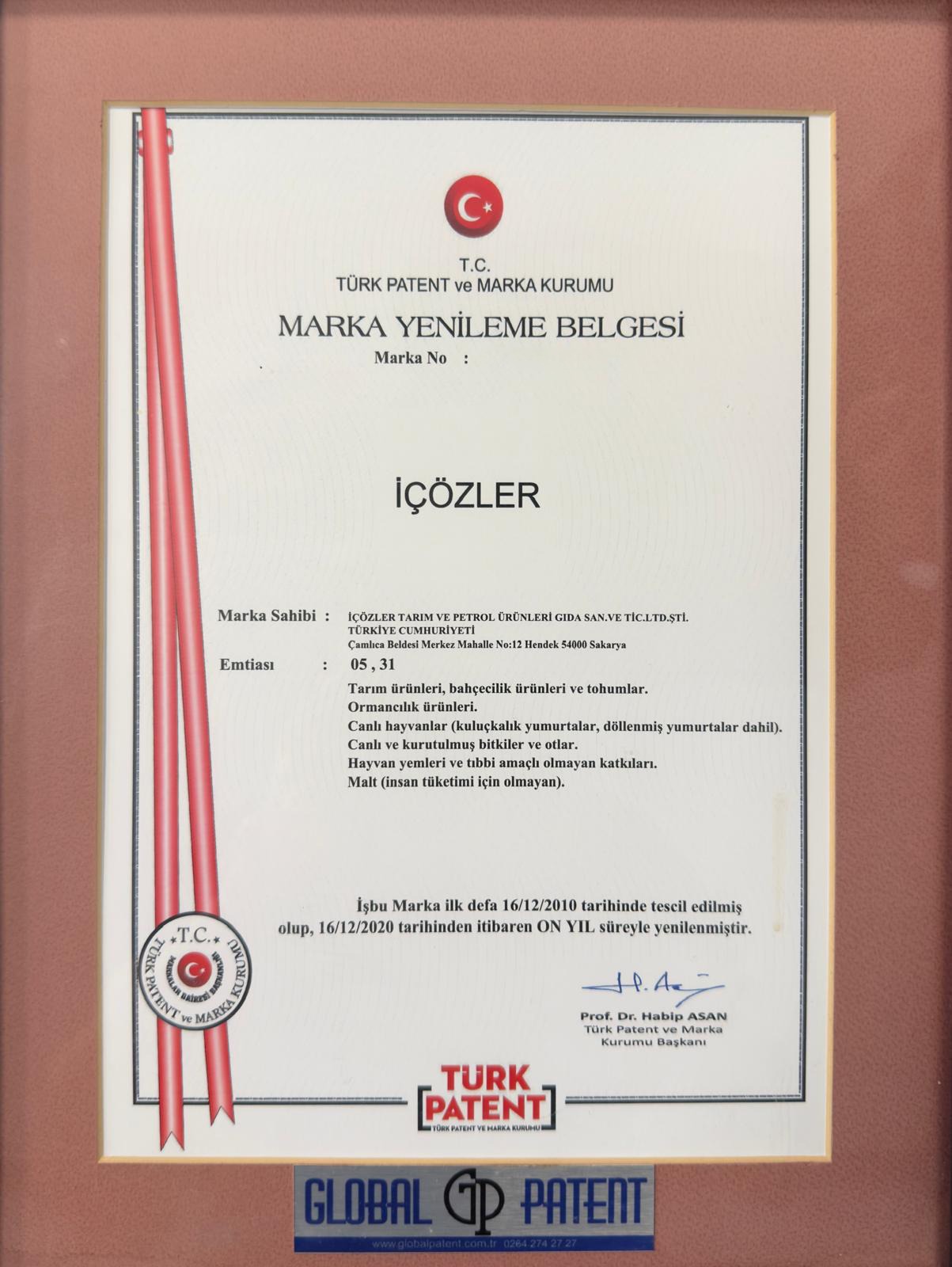 içözler patent